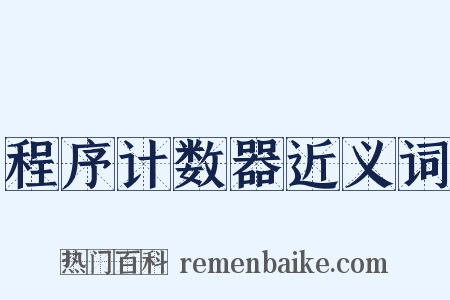 程序计数器近义词是什么意思的图片
